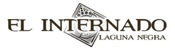 El_internado_logo