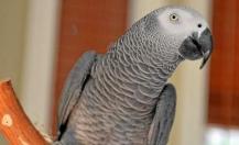 543d0280b43ef.r_1413284487200.0-19-453-296